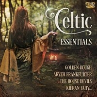 Various - Celtic Essentials i gruppen CD / Elektroniskt,World Music hos Bengans Skivbutik AB (3733856)