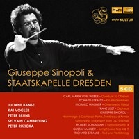Various - Giuseppe Sinopoli & Staatskapelle D i gruppen Externt_Lager / Naxoslager hos Bengans Skivbutik AB (3733863)