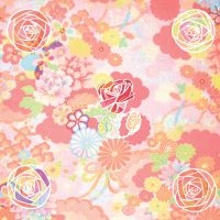 Miracle Fortress - Five Roses i gruppen CD / Pop-Rock hos Bengans Skivbutik AB (3734159)