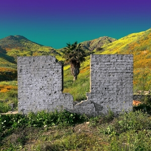 Shopping - All Or Nothing i gruppen VINYL / Pop-Rock hos Bengans Skivbutik AB (3734323)