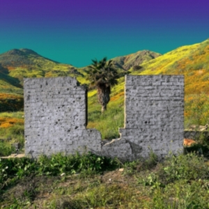 Shopping - All Or Nothing i gruppen CD / Pop-Rock hos Bengans Skivbutik AB (3734432)