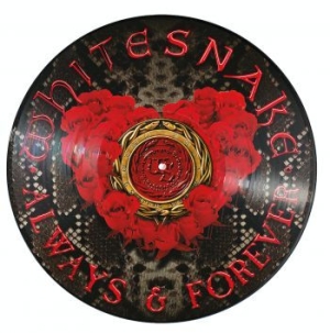 Whitesnake - Always & Forever (Ltd Ed Picture Di i gruppen VINYL / Hårdrock/ Heavy metal hos Bengans Skivbutik AB (3734527)