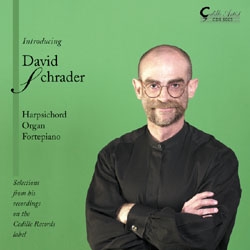 Various - Introducing David Schrader i gruppen Externt_Lager / Naxoslager hos Bengans Skivbutik AB (3734572)