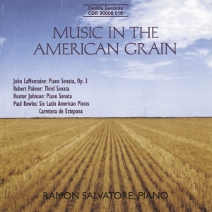 Various - Music In The American Grain i gruppen Externt_Lager / Naxoslager hos Bengans Skivbutik AB (3734589)