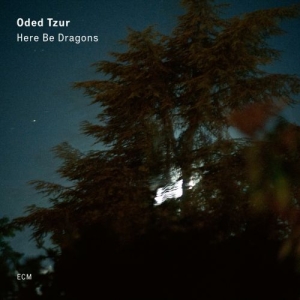 Tzur Oded - Here Be Dragons i gruppen CD / Övrigt hos Bengans Skivbutik AB (3736660)