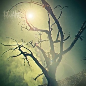 Rwake - Rest i gruppen CD / Toppsäljare hos Bengans Skivbutik AB (3741703)