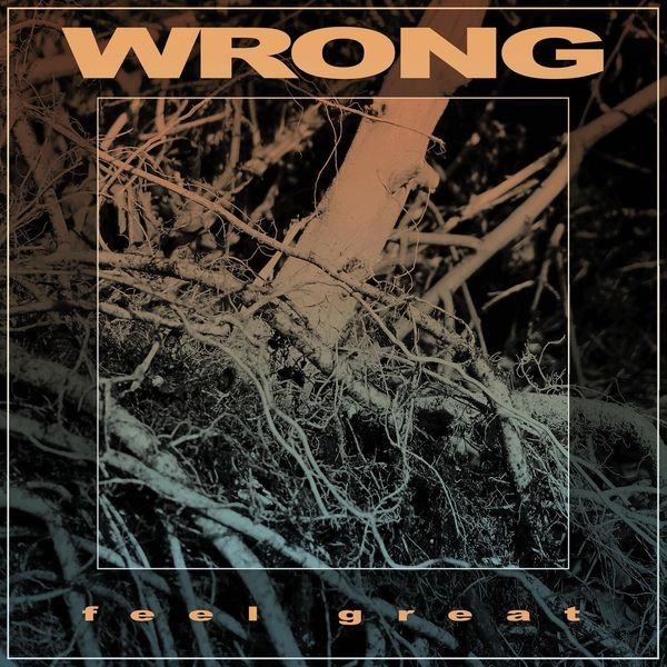 Wrong - Feel Great i gruppen CD / Hårdrock/ Heavy metal hos Bengans Skivbutik AB (3741840)