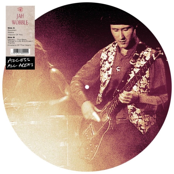 Wobble Jah - Access All Areas - Pic.Disc. i gruppen VINYL / Hårdrock/ Heavy metal hos Bengans Skivbutik AB (3742110)