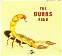 Budos Band - Budos Band Ii i gruppen VINYL / RNB, Disco & Soul hos Bengans Skivbutik AB (3742385)