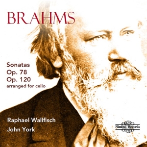 Brahms Johannes - Sonatas, Opp. 78 & 120 (Arranged Fo i gruppen Externt_Lager / Naxoslager hos Bengans Skivbutik AB (3743338)