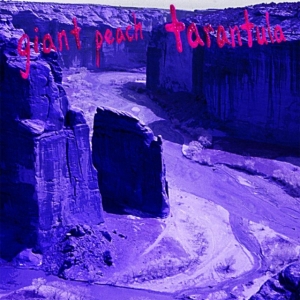 Giant Peach - Tarantula i gruppen ÖVRIGT / Övrigt / aub hos Bengans Skivbutik AB (3744345)