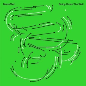 Moonmot - Going Down The Well i gruppen CD / Kommande / Jazz/Blues hos Bengans Skivbutik AB (3746601)