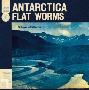 Flat Worms - Antarctica i gruppen Rock hos Bengans Skivbutik AB (3747681)
