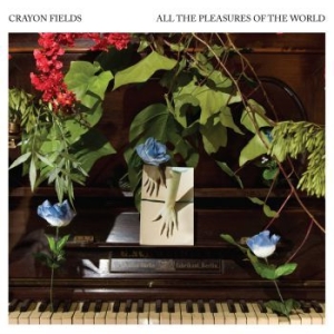 Crayon Fields - All The Pleasures Of The World (Blu i gruppen VINYL / Rock hos Bengans Skivbutik AB (3747730)