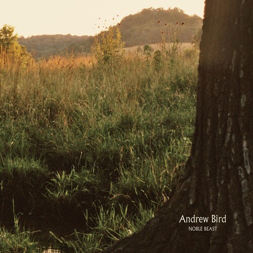 Andrew Bird - Noble Beast i gruppen VINYL / Pop hos Bengans Skivbutik AB (3753735)