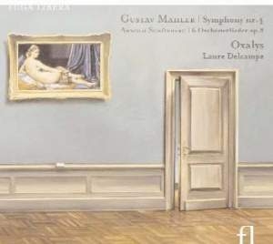 Mahler / Schönberg - Mahler / Schönberg / Symphonie N°4 i gruppen Externt_Lager / Naxoslager hos Bengans Skivbutik AB (3758061)