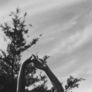 Folly & The Hunter - Remains i gruppen ÖVRIGT / Övrigt / aub hos Bengans Skivbutik AB (3759462)