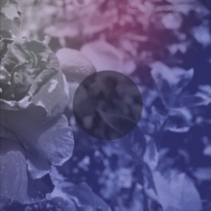 See Through Dresses - See Through Dresses i gruppen VINYL / Pop-Rock hos Bengans Skivbutik AB (3759481)