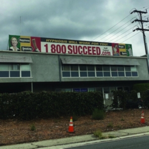 Media Jeweler - 1 800 Succeed (Limited Color Vinyl) i gruppen ÖVRIGT / Övrigt / aub hos Bengans Skivbutik AB (3759495)