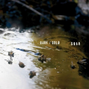 Soar - Dark / Gold i gruppen VINYL / Pop-Rock hos Bengans Skivbutik AB (3763717)