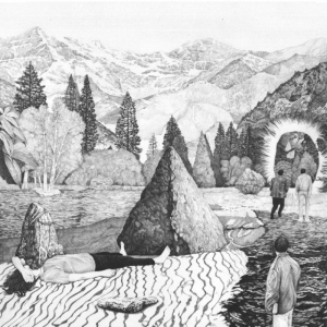 Collette Ned - Old Chestnut (International Only) i gruppen ÖVRIGT / Övrigt / aub hos Bengans Skivbutik AB (3763764)