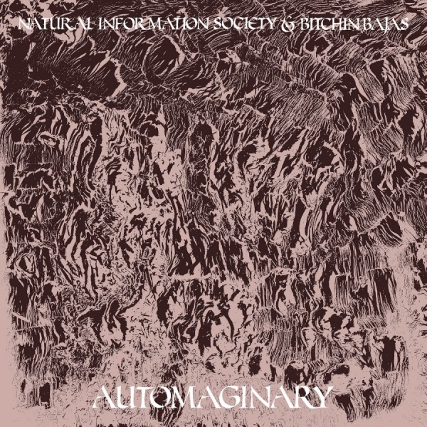 Bitchin Bajas & Natural Information - Automaginary i gruppen VINYL / Pop hos Bengans Skivbutik AB (3763842)
