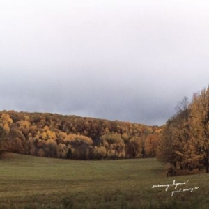 Evening Hymns - Quiet Energies i gruppen CD / Pop-Rock hos Bengans Skivbutik AB (3763968)