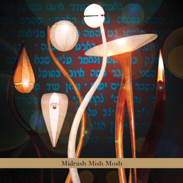Alexander Aaron - Midrash Mish Mosh i gruppen CD / Toppsäljare hos Bengans Skivbutik AB (3764269)