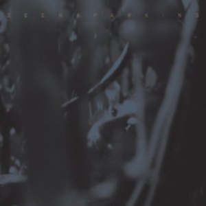 Zeena Parkins - Double Dupe Down i gruppen ÖVRIGT / Övrigt / aub hos Bengans Skivbutik AB (3764440)