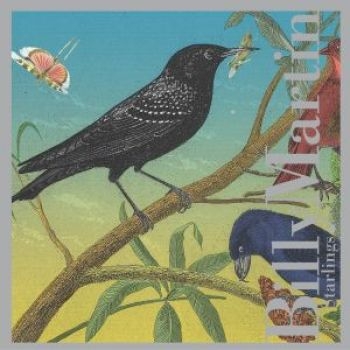 Martin Billy - Starlings i gruppen CD / Jazz/Blues hos Bengans Skivbutik AB (3764616)