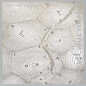 Sylvie Courvoisier - Signs And Epigrams i gruppen ÖVRIGT / Övrigt / aub hos Bengans Skivbutik AB (3764623)