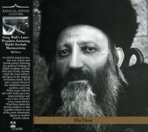 Greg Wall's Later Prophets Featurin - Lights Of Rav Kook i gruppen ÖVRIGT / Övrigt / aub hos Bengans Skivbutik AB (3764716)