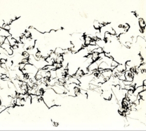 Zorn John - There Is No More Firmament i gruppen ÖVRIGT / Övrigt / aub hos Bengans Skivbutik AB (3764798)