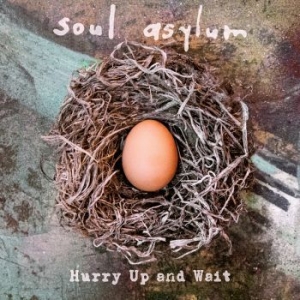 Soul Asylum - Hurry Up And Wait i gruppen VINYL / Rock hos Bengans Skivbutik AB (3768075)