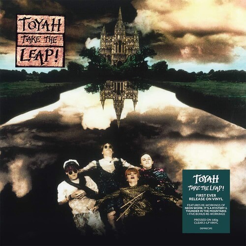 Toyah - Take The Leap i gruppen VINYL / Pop hos Bengans Skivbutik AB (3768156)