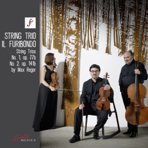 Reger Max - String Trio No. 1, Op. 77B String i gruppen CD / Kommande / Klassiskt hos Bengans Skivbutik AB (3769429)