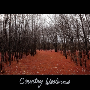 Country Westerns - Country Westerns i gruppen CD / Pop-Rock hos Bengans Skivbutik AB (3771252)