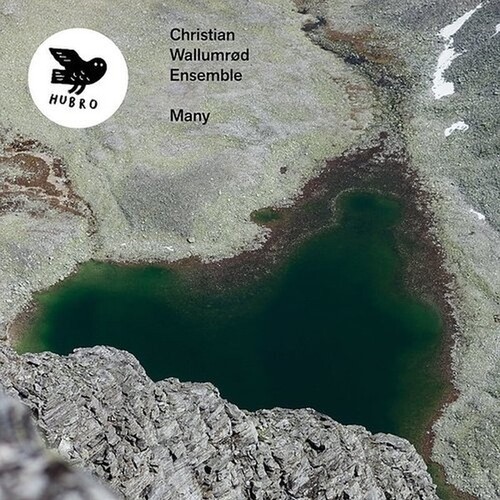 Wallumröd Christian & Ensemble - Many i gruppen CD / Rock hos Bengans Skivbutik AB (3771303)