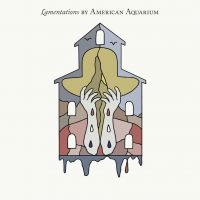 American Aquarium - Lamentations i gruppen CD / Country hos Bengans Skivbutik AB (3772894)