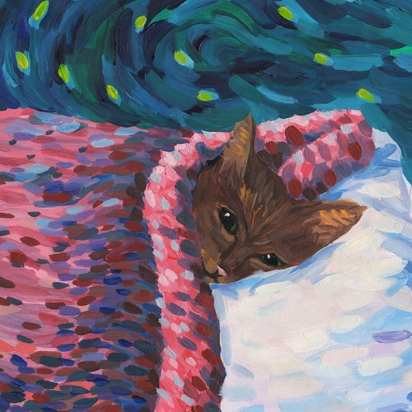 Cavetown - Sleepyhead i gruppen CD / Pop hos Bengans Skivbutik AB (3772989)