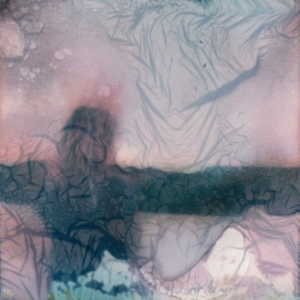 (0) - Skamhan i gruppen VINYL / Hårdrock hos Bengans Skivbutik AB (3773539)