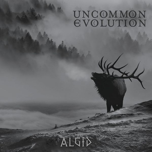 Uncommon Evolution - Algid i gruppen CD / Rock hos Bengans Skivbutik AB (3773611)