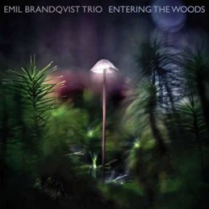 Brandqvist Emil - Entering The Woods i gruppen VINYL / Jazz/Blues hos Bengans Skivbutik AB (3774120)