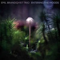 Brandqvist Emil - Entering The Woods i gruppen CD / Jazz hos Bengans Skivbutik AB (3774127)