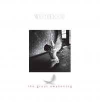 White Door - Great Awakening i gruppen VINYL / Pop-Rock hos Bengans Skivbutik AB (3775036)
