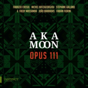 Aka Moon Trio - Opus 111 i gruppen ÖVRIGT / Övrigt / aub hos Bengans Skivbutik AB (3778513)