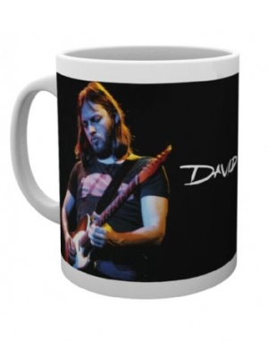 David Gilmour - Live Photo Mug i gruppen ÖVRIGT / MK Test 1 hos Bengans Skivbutik AB (3778745)