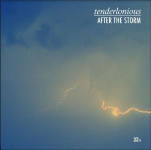 Tenderlonious - After The Storm i gruppen VINYL / Pop hos Bengans Skivbutik AB (3778965)