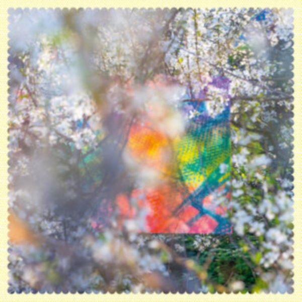 Four Tet - SIXTEEN OCEANS i gruppen VI TIPSAR / Årsbästalistor 2020 / RollingStone 2020 hos Bengans Skivbutik AB (3779095)