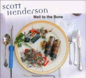 Scott Henderson - Well To The Bone i gruppen CD / Jazz/Blues hos Bengans Skivbutik AB (3780701)